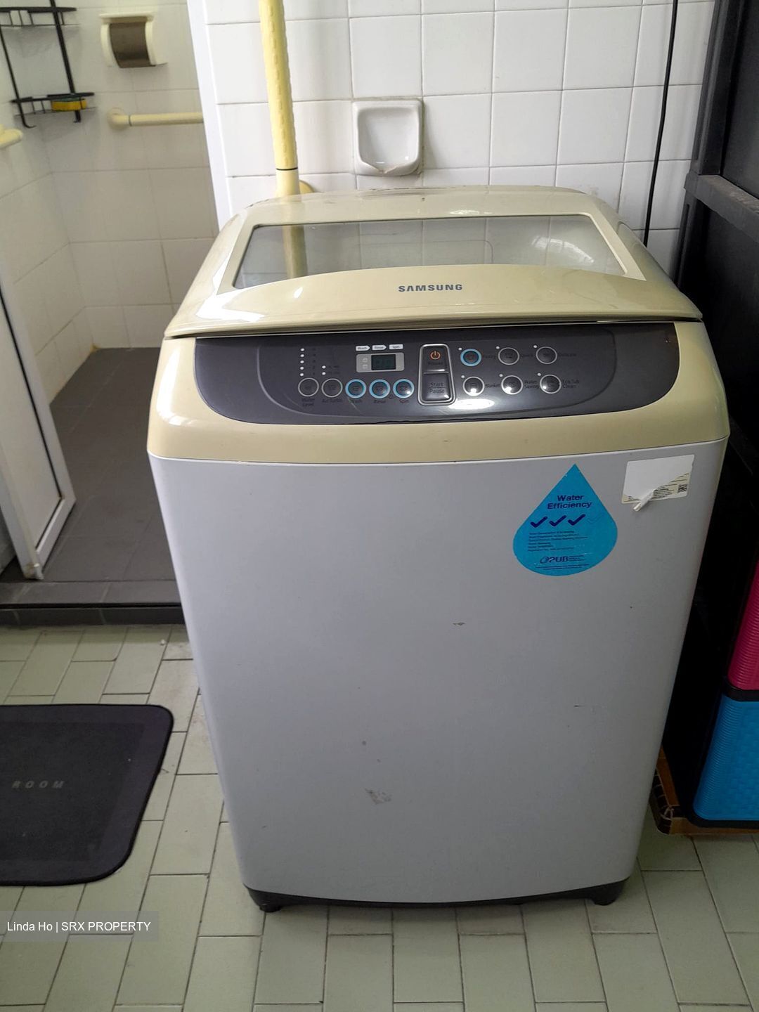 Blk 117 Eunos Vista (Bedok), HDB 3 Rooms #559901161